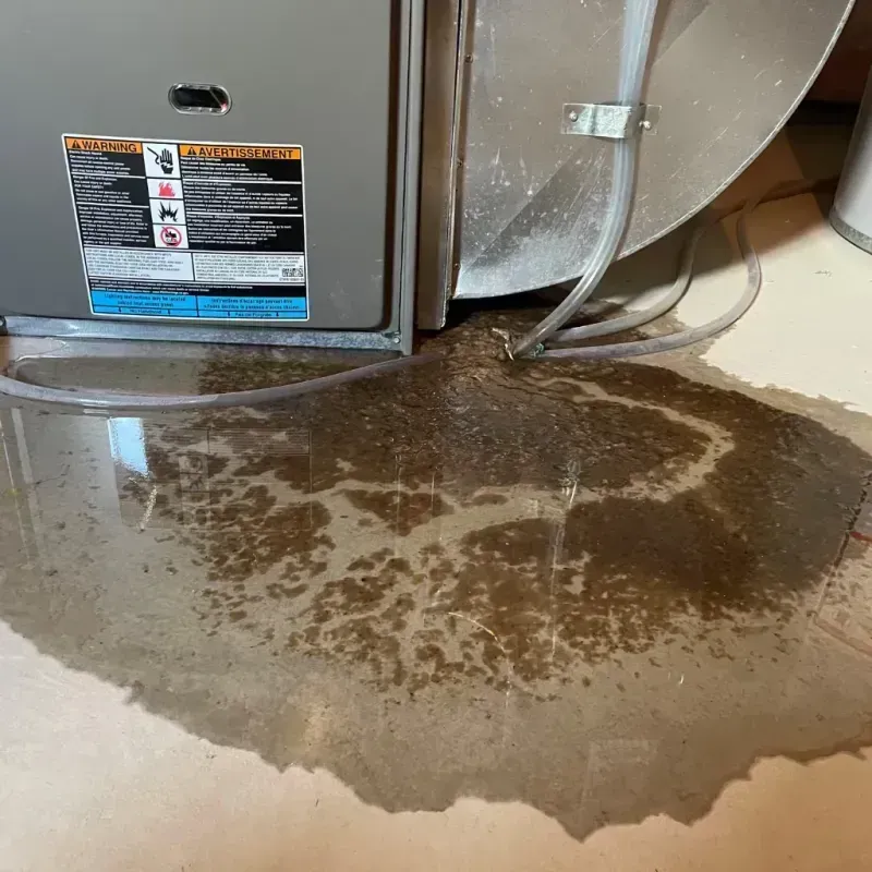 Appliance Leak Cleanup in Capitola, CA